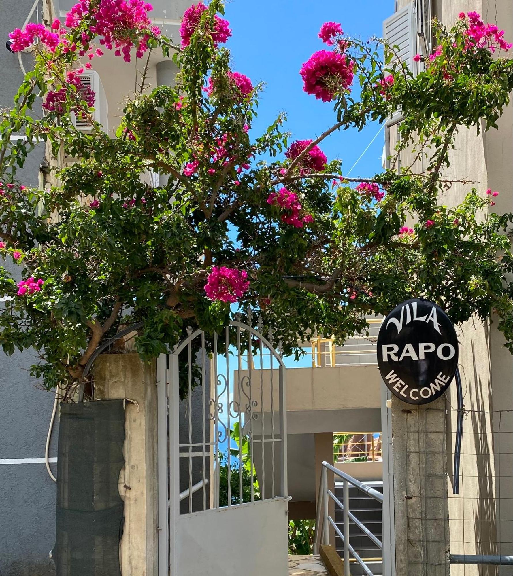 Vila Rapo هيماري المظهر الخارجي الصورة